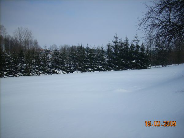 b 006.jpg