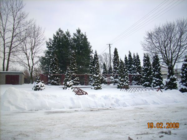 b 004.jpg