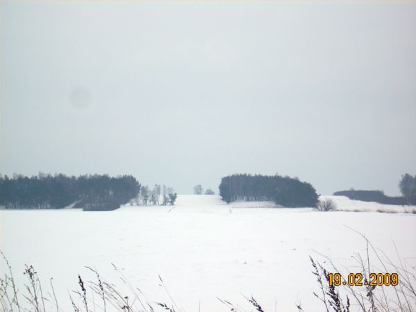 b 003.jpg