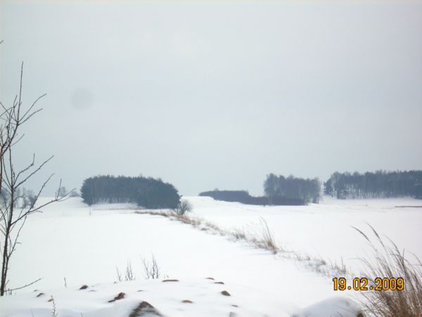 b 002.jpg