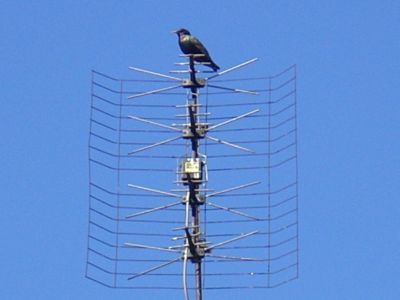 c 071.jpg