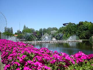 Park rozrywki.JPG