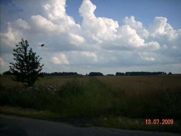 c 009.jpg