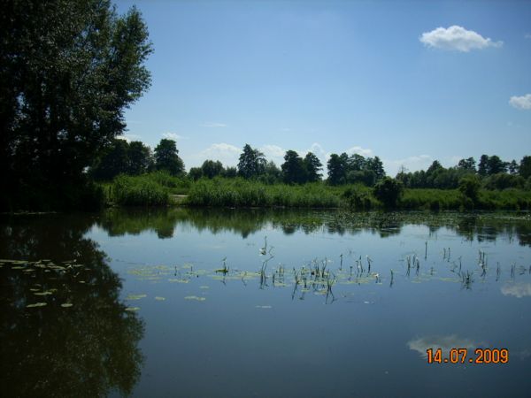 c 010.jpg