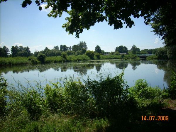 c 009.jpg
