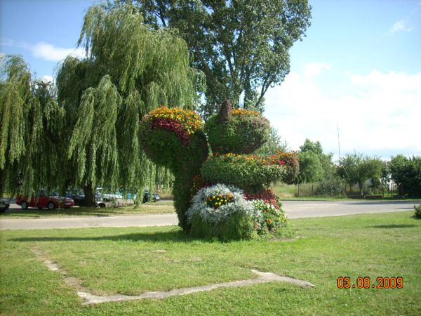 wiewióra.jpg