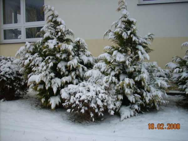 w 005.jpg