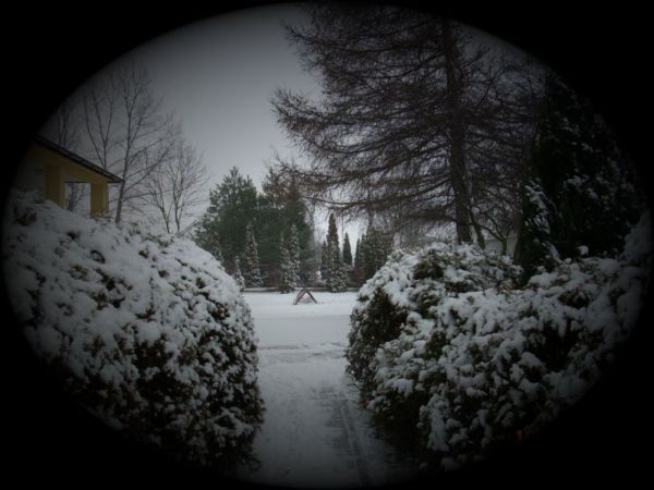 w 001.jpg