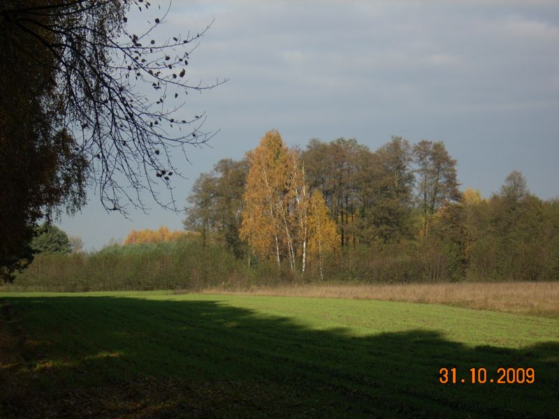 jesienny widok.jpg
