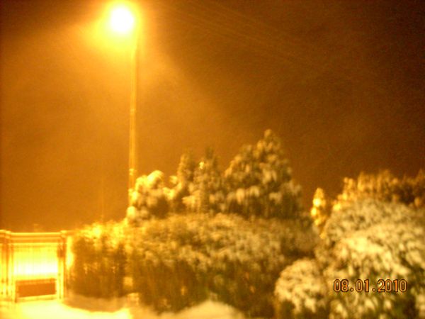 n 002.jpg