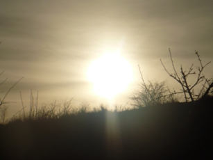 P1010757.JPG