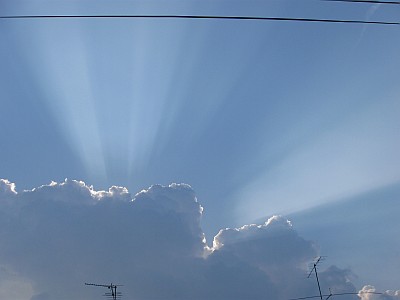 IMG_1287.JPG