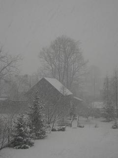Zima wiosną...2008-03-20 004a.JPG