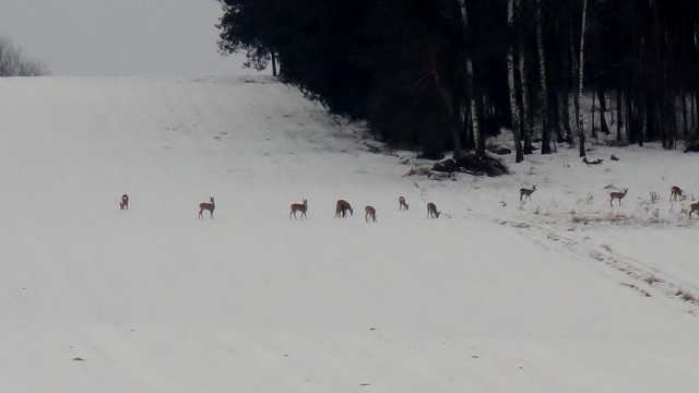 DSC00708 (640x360).jpg