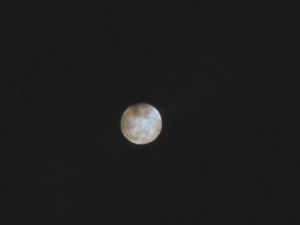 DSC00945.JPG