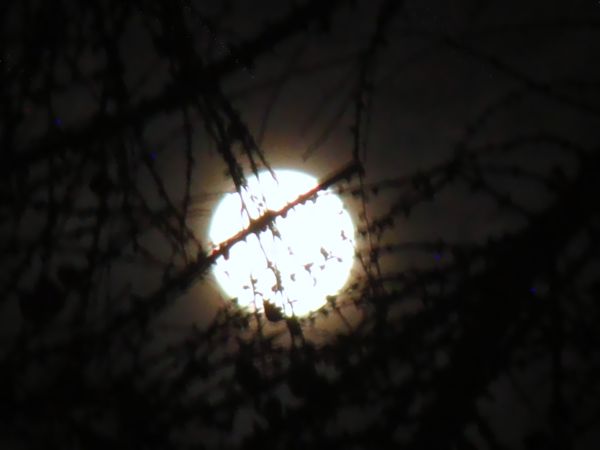 DSC00970.JPG