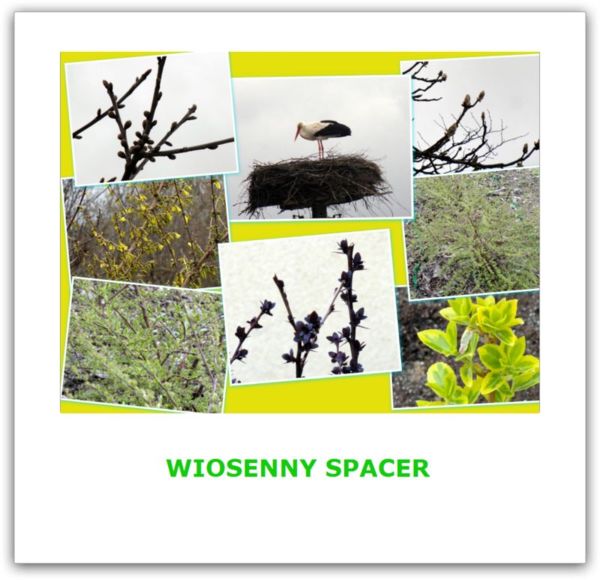 spacer 1.jpg