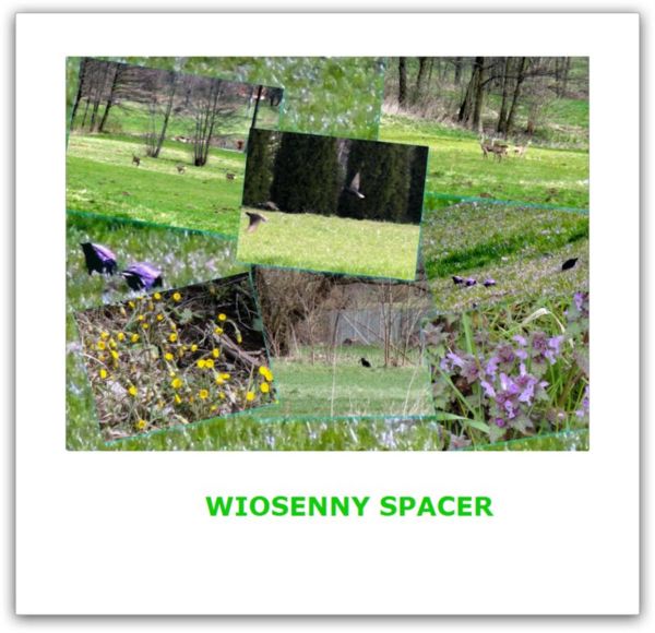 spacer 2.jpg