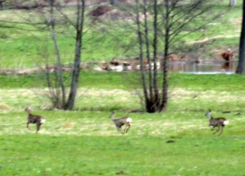 DSC01147.JPG