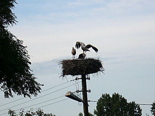 DSCN0015.JPG