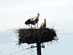 DSCN0018.JPG
