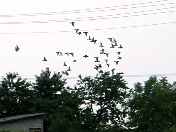 DSCF4934.JPG