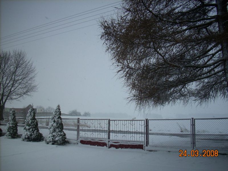 w 006.jpg