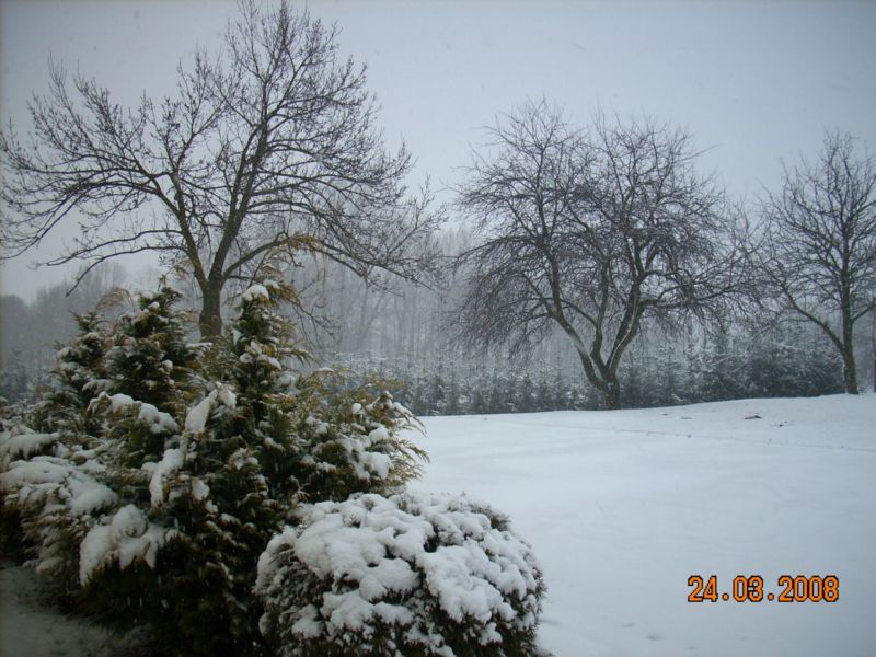 w 004.jpg