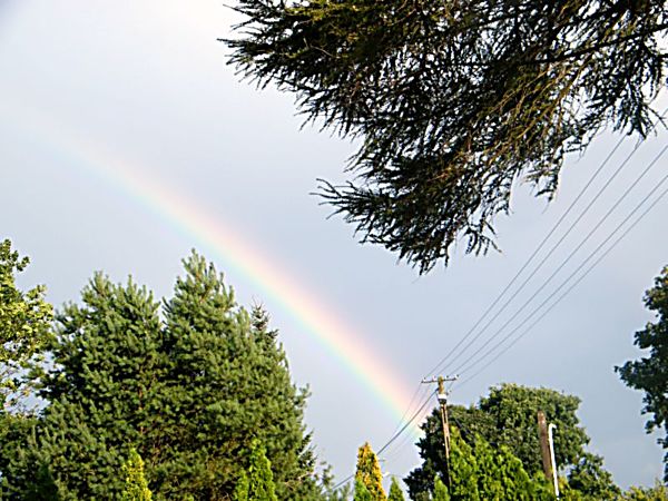 DSCF5052.JPG