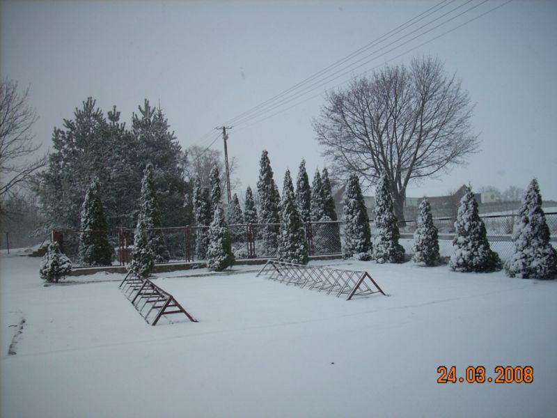 w 002.jpg