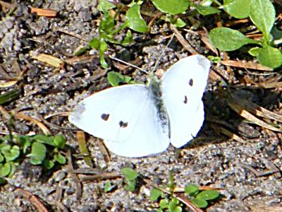 DSCF5070.JPG