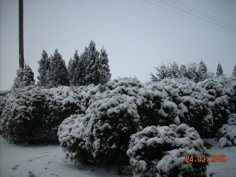w 001.jpg