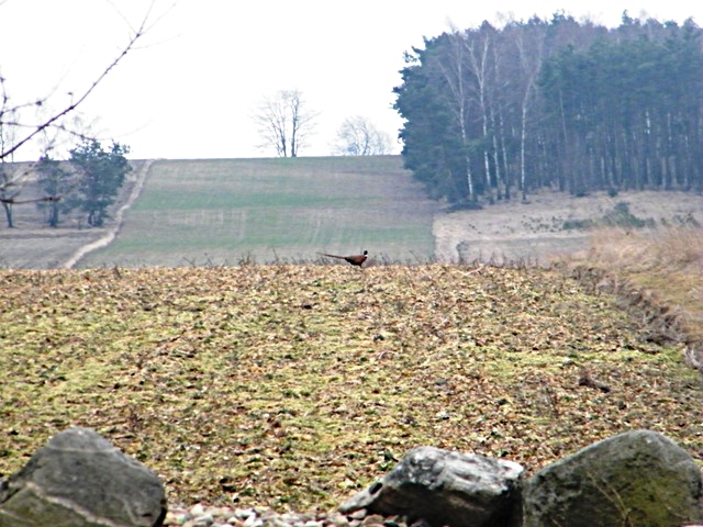 DSCF6588.JPG