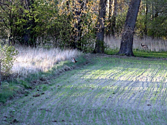 DSC06616.JPG
