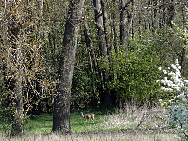 DSC06620.JPG