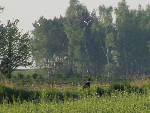 DSCF6706.JPG