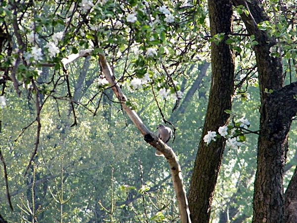 DSCF6715.JPG