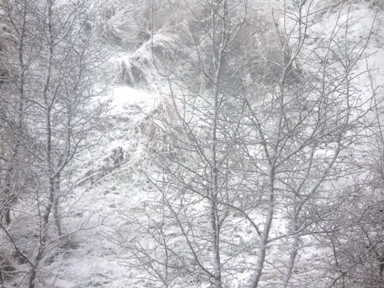 P1020113.JPG