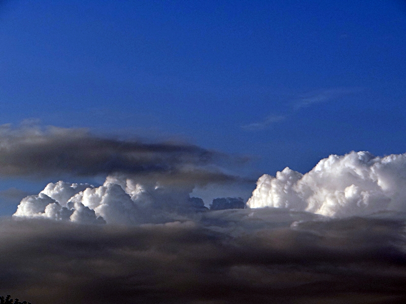 DSC01336.JPG