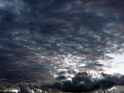 DSC01389.JPG