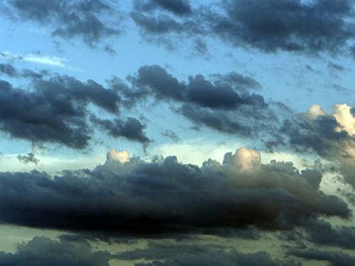 DSC01352.JPG