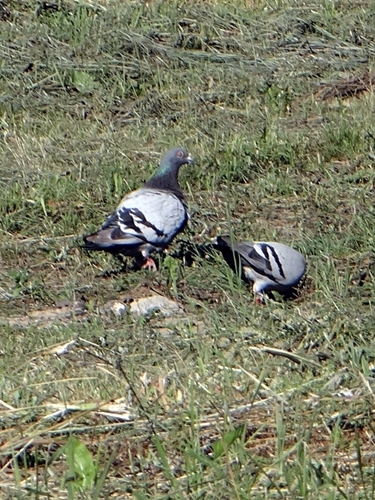 DSC01491.JPG