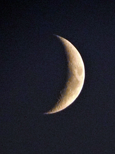 DSC01503.JPG