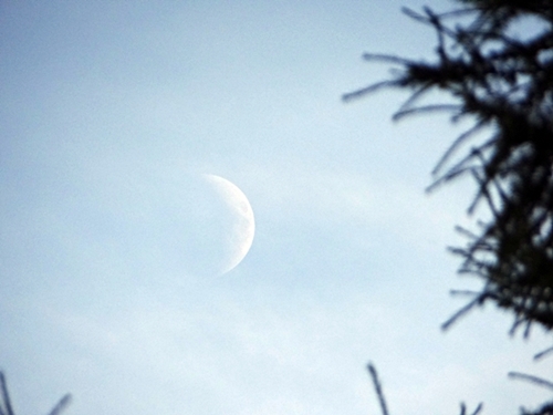 DSC01514.JPG