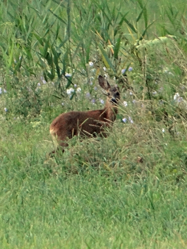 DSC01605.JPG