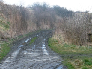 P1030001.JPG