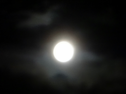DSC01699.JPG
