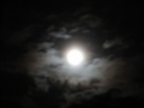 DSC01700.JPG