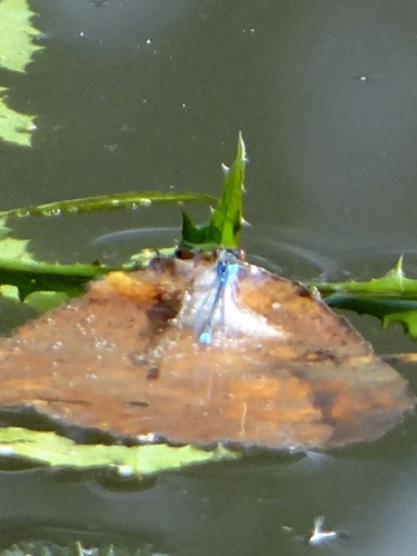DSC01878.JPG