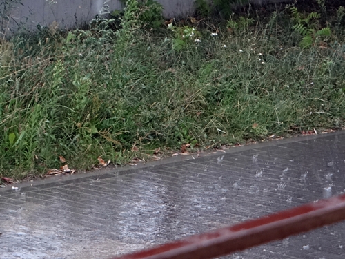 DSC01939.JPG